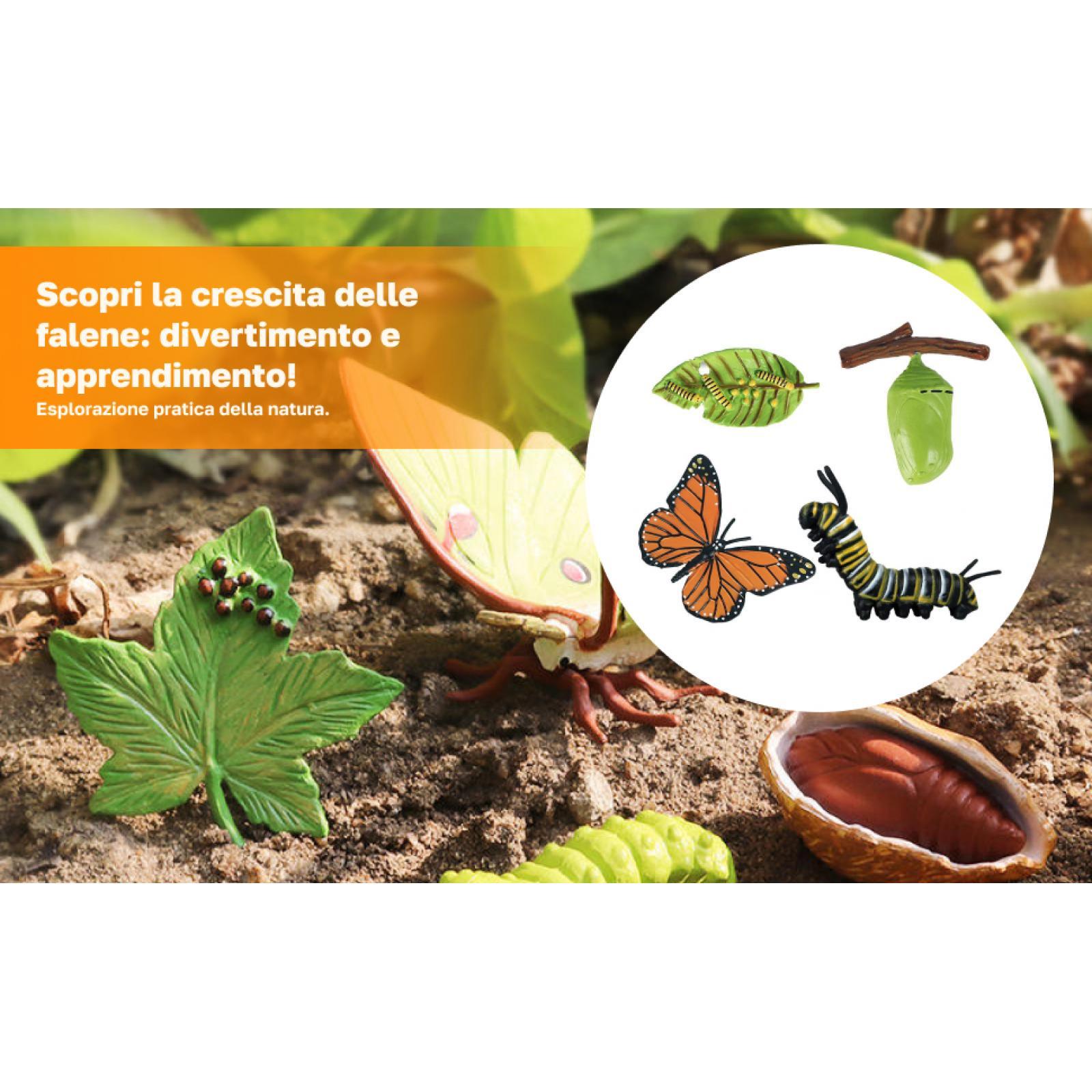 Kids Education Sites - Figuras Educativas del Ciclo de Vida