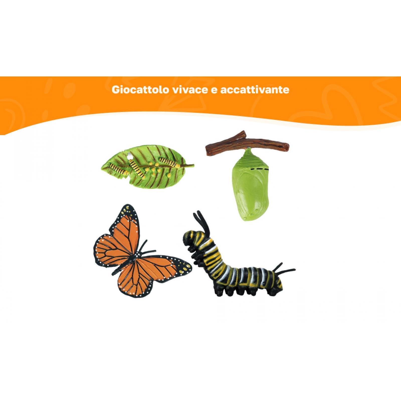 Figuras Educativas del Ciclo d - Kids Education Sites reseña y precio